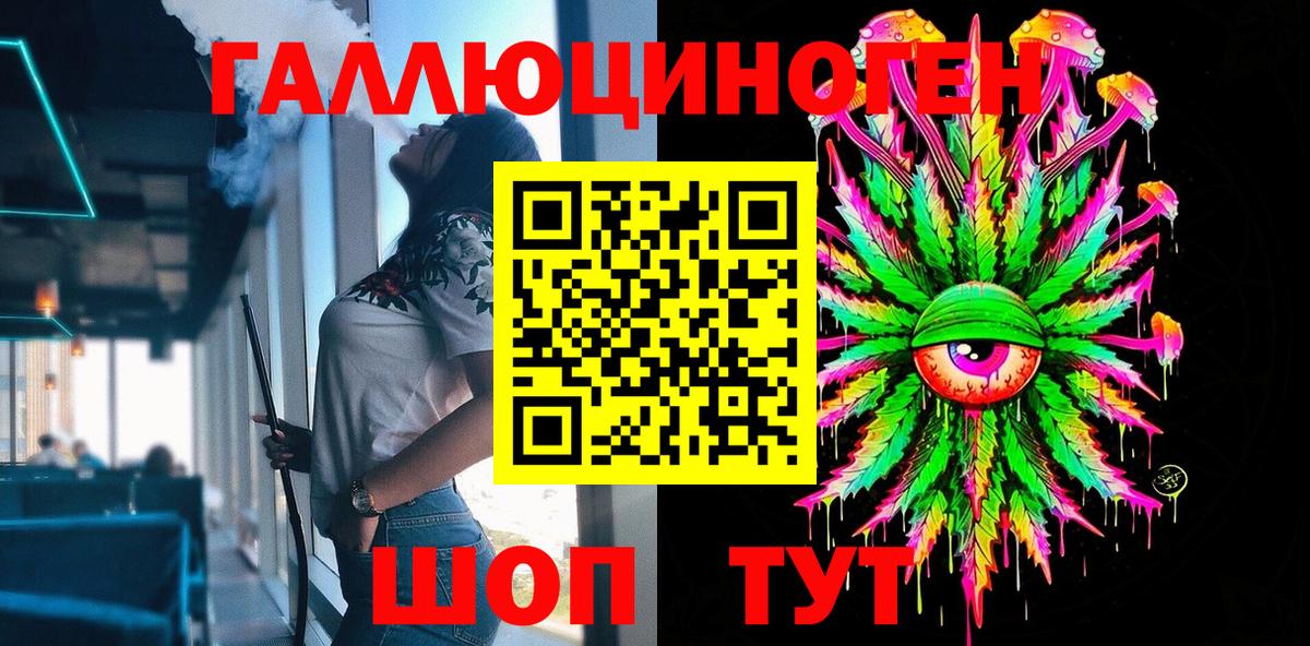 Ачхой-Мартан  Псилоцибиновые грибы Cubensis  Вход с VPN 